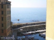 Appartamento a Camogli a 800€ al mese