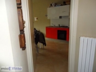 Appartamento a Alba a 450€ al mese