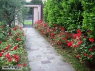 Appartamento a Arese a 2000€ al mese