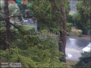 Appartamento a Livorno a 850€ al mese