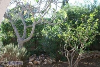 Appartamento a Alghero a 650€ al mese