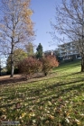 Appartamento a San Mauro Torinese a 800€ al mese