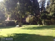 Appartamento a Roma a 3100€ al mese