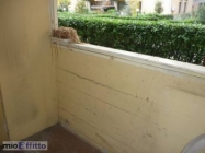 Appartamento a Firenze a 850€ al mese