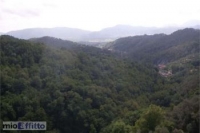 Appartamento a Sarzana a 450€ al mese