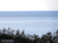 Appartamento a Livorno a 1200€ al mese