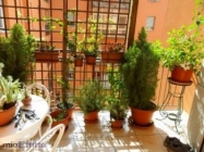 Appartamento a Bologna a 600€ al mese