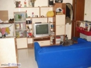 Appartamento a Palazzo Pignano a 450€ al mese