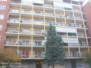 Appartamento a Collegno a 420€ al mese