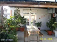 Appartamento a Grosseto a 600€ al mese