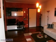 Appartamento a Rovigo a 450€ al mese