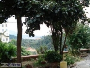 Appartamento a La Spezia a 450€ al mese