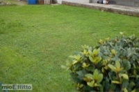Appartamento a Romano d'Ezzelino a 550€ al mese