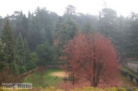 Appartamento a Rovereto a 580€ al mese