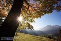 Appartamento a Grizzana Morandi a 400€ al mese