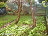 Appartamento a Montelupo Fiorentino a 750€ al mese