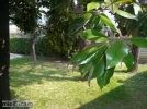 Appartamento a Roncade a 550€ al mese