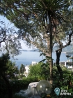 Villa a Rapallo a 2500€ al mese