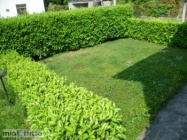 Appartamento a Treviglio a 500€ al mese