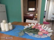 Appartamento a Bologna a 550€ al mese