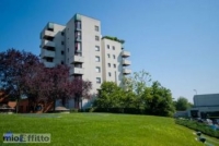 Appartamento a Segrate a 800€ al mese