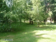 Appartamento a Segrate a 700€ al mese