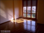 Appartamento a Legnago a 350€ al mese