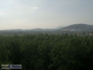 Appartamento a Frosinone a 500€ al mese